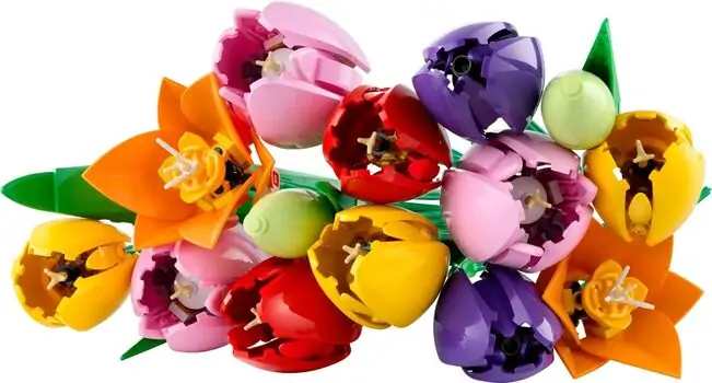 Lego Botanicals 11501 Tulip Bouquet, 2 image